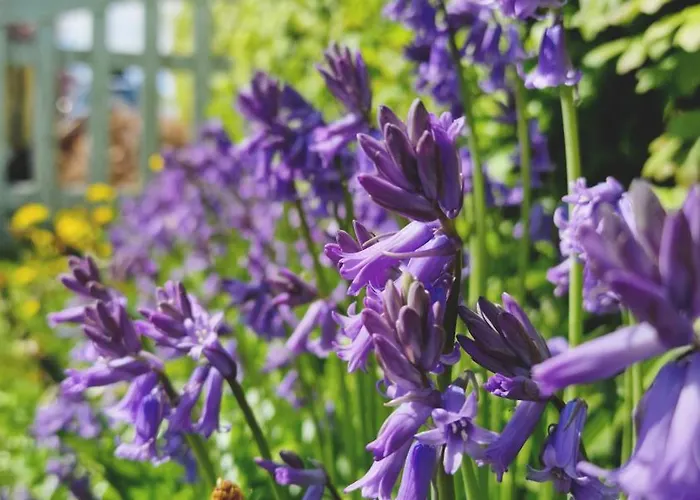 Charmerende I Den Gamle Kirkesmedje Apartment Ronne